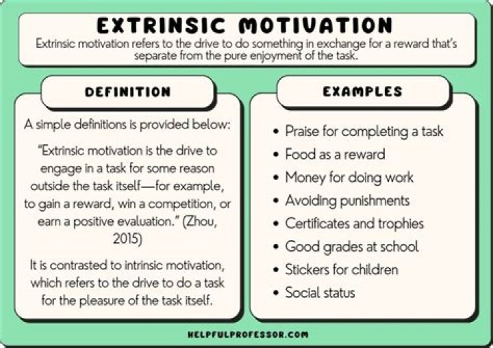 What do you mean by expectation theory?