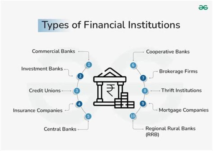 What do you mean by institutional investors?