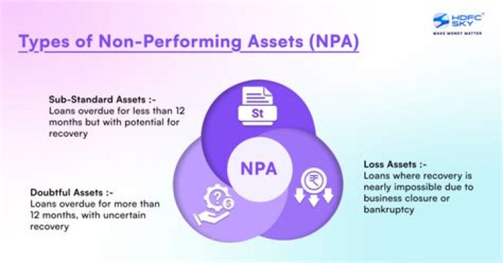 What do you mean by non banking assets and non performing assets?