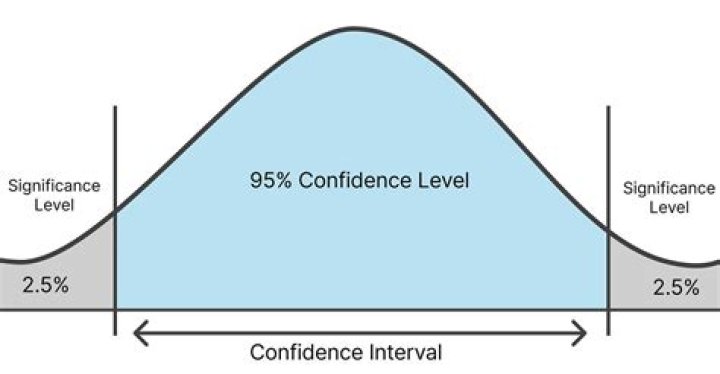 What does 95% confidence level mean?