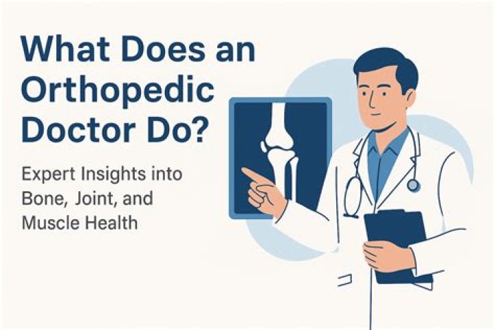 What does a Ph Doctor do?