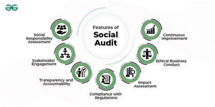 What does a social audit include?