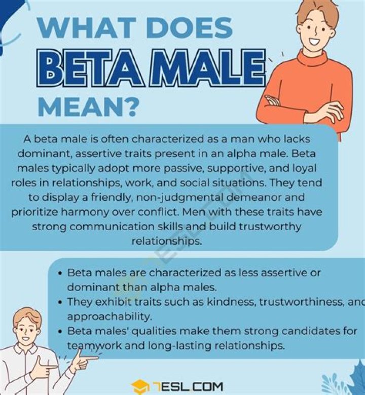 What does a stock beta of 2 mean?