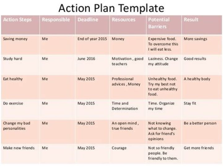What does an action plan include?