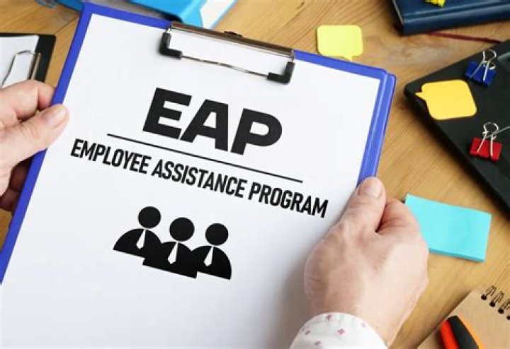 What does an employee assistance program do?