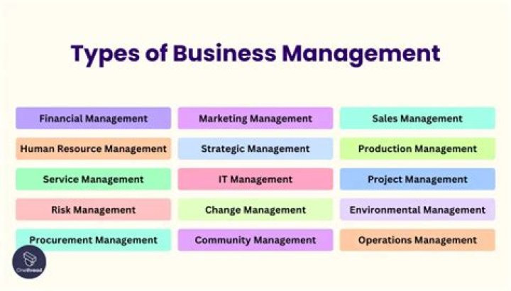 What does business management include?