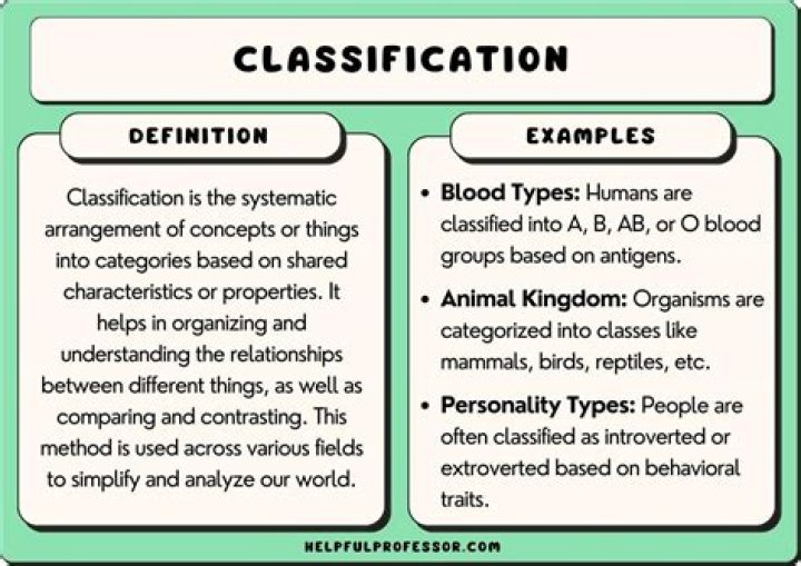 What does classification mean in accounting?