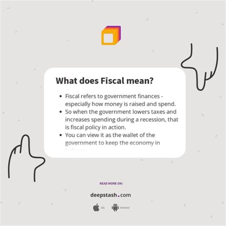 What does fiscal mean?