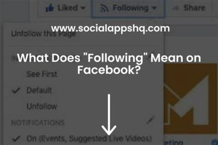 What does following a budget mean?