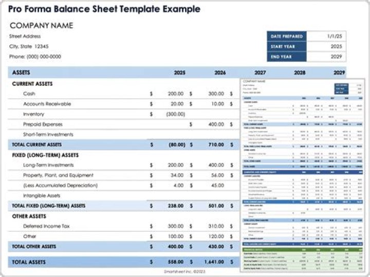 What does it mean to have a pro forma balance sheet?