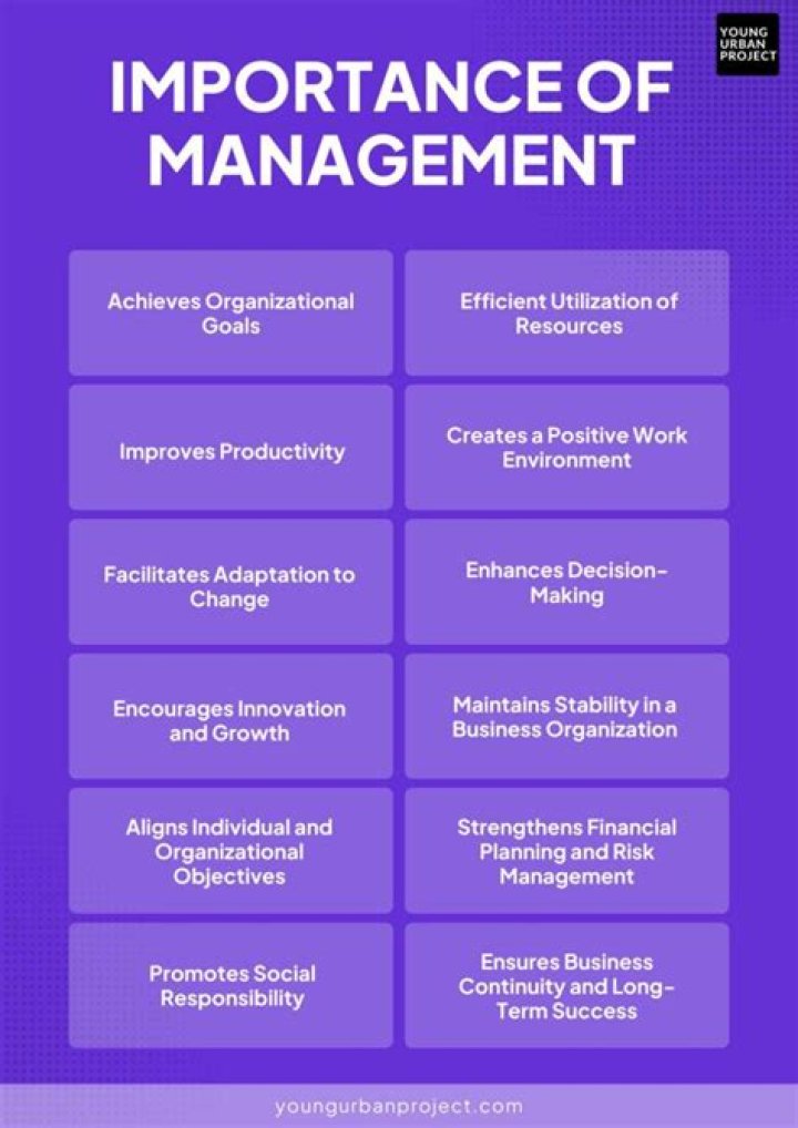 What does management studies include?