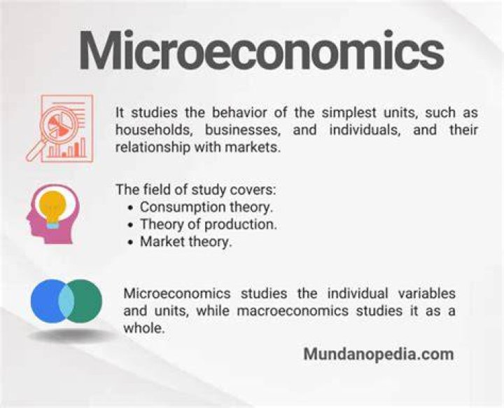 What does microeconomics help with?