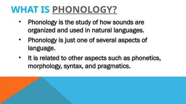 What does Pronology mean?