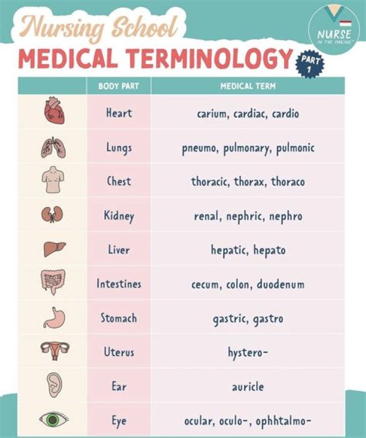 What does R stand for in medical terms?