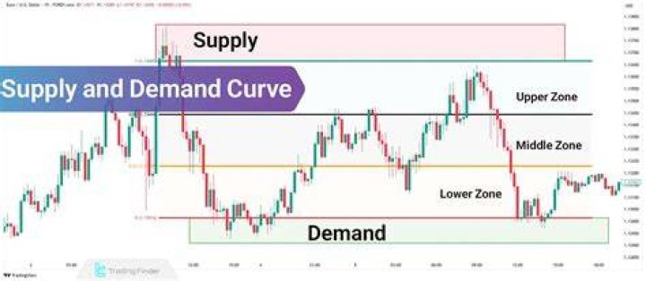 What does supply and demand do for the economy?