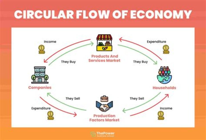 What does the circular flow model represent?