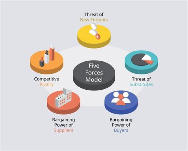 What does the five forces model determine?