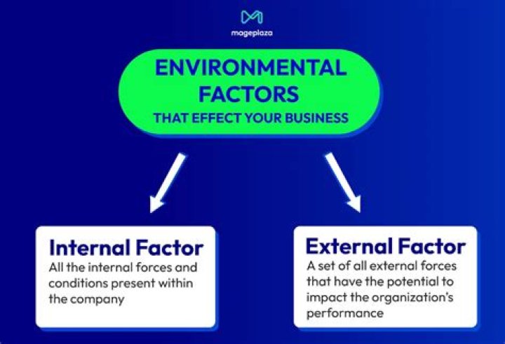 What does the internal environment of a company deal with?