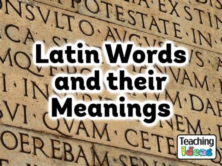 What does the Latin word uniform mean?