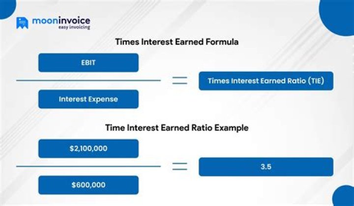 What does the times interest earned ratio tell us?