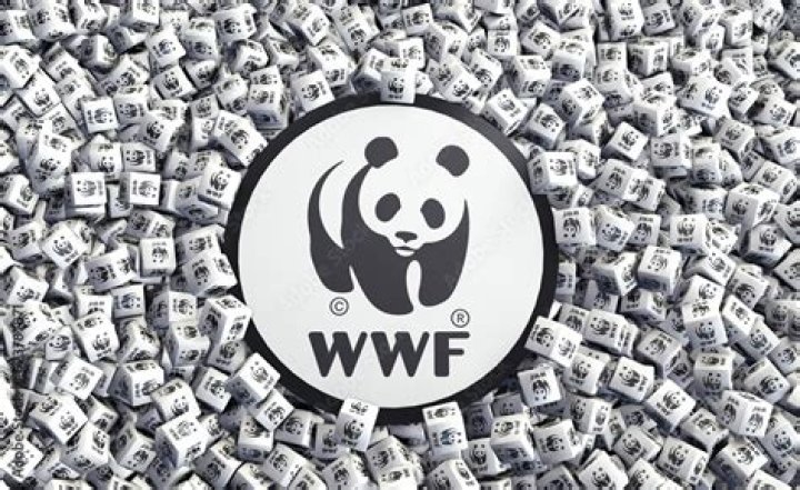 What does WWF do with the money?