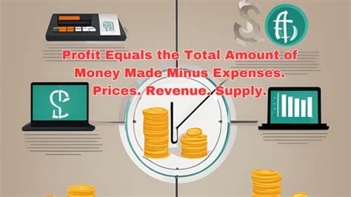 What equals revenue minus all expenses?