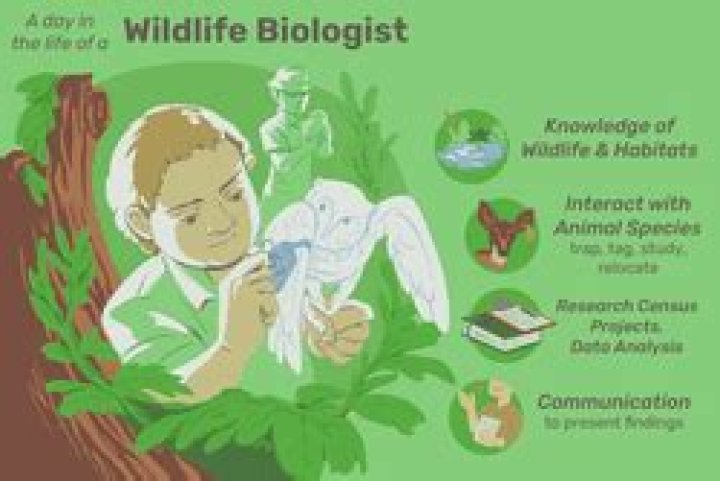 What exactly does a biologist do?