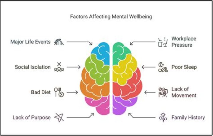 What factors affect history?