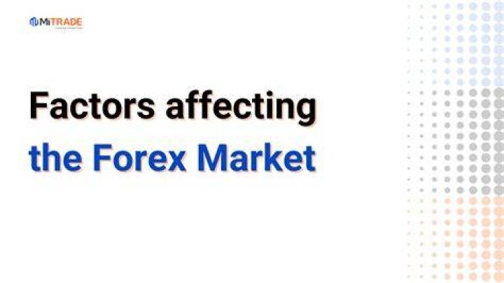 What factors affect the forex market?