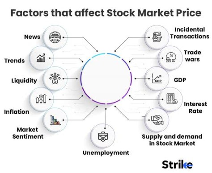 What factors affect the stock market the most?