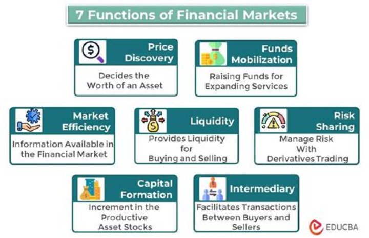What functions do financial markets perform?