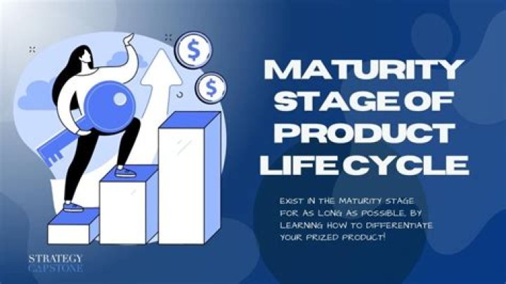 What happens during the product maturity stage?