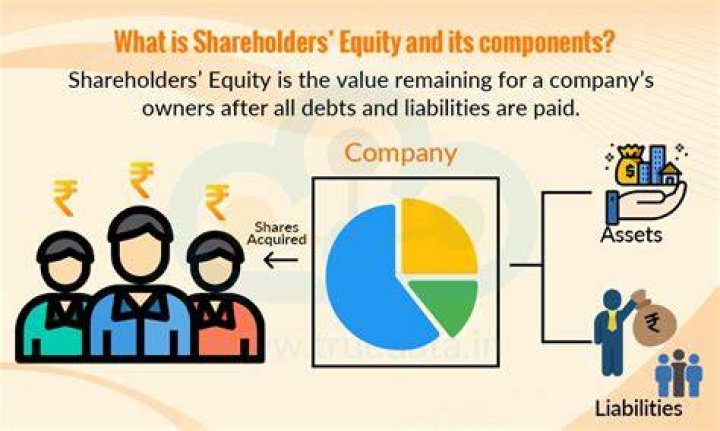 What if shareholders equity is negative?