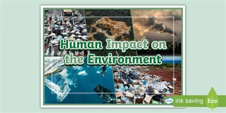 What impact do images have?