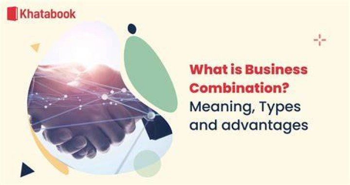 What is a business combination example?