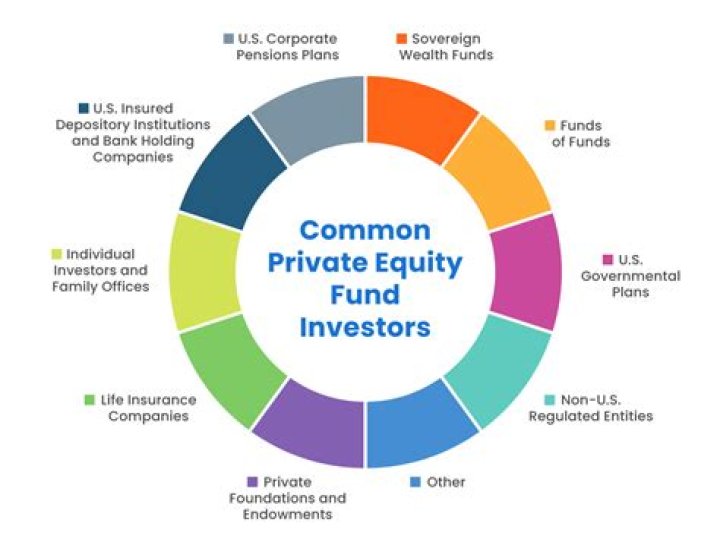 What is a business in which investors pool their wealth for a common purpose then share the profits?