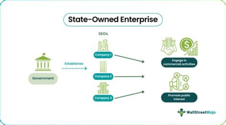 What is a business owned by the stockholders?