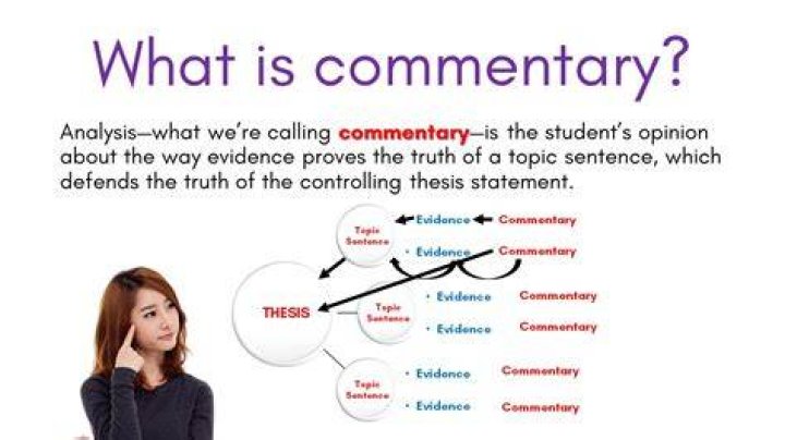 What is a commentary piece?