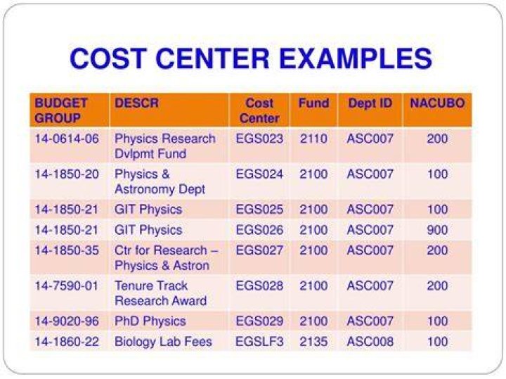 What is a cost center example?