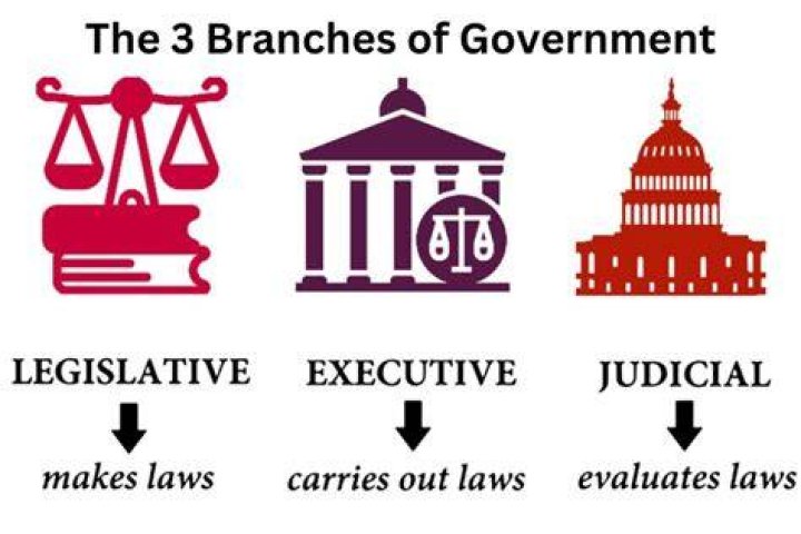 What is a critical government function?