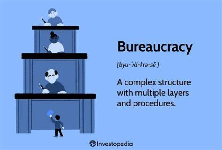 What is a disadvantage of the bureaucratic structure?