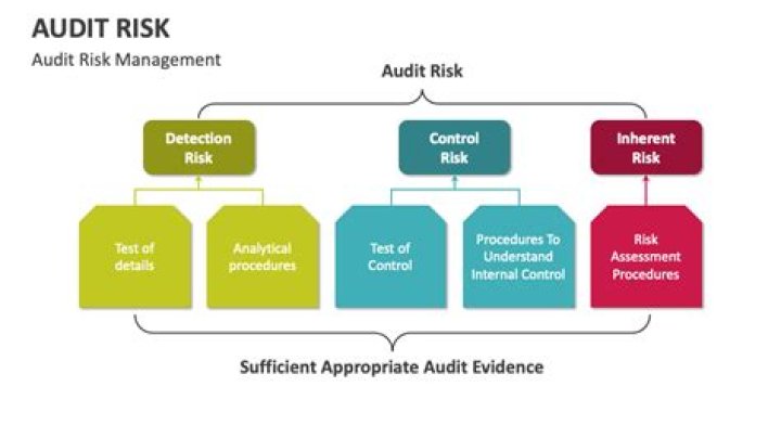 What is a higher level control in audit?
