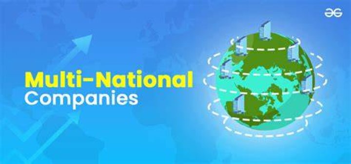 What is a large multinational company?