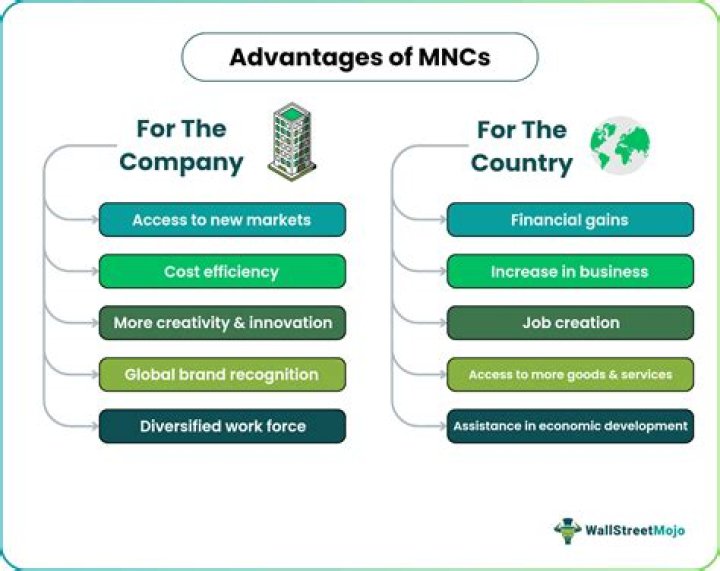 What is a MNC example?