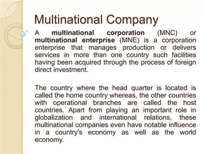 What is a multinational company in business?
