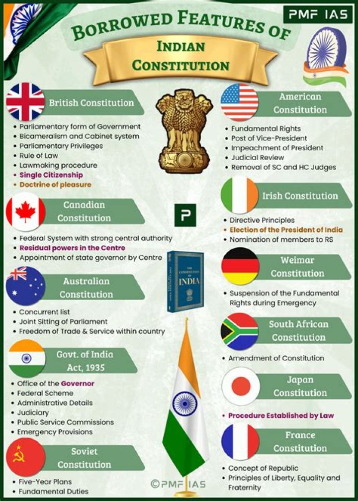 What is a NPO constitution?