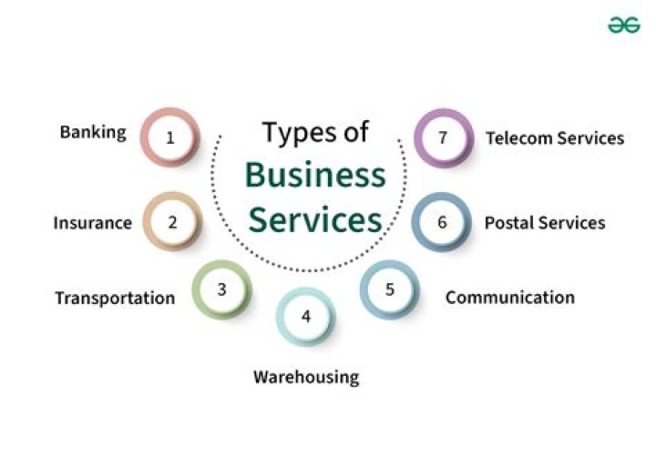What is a service concern type of business?