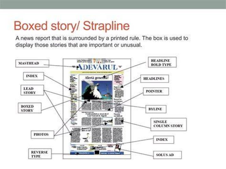 What is a story in a newspaper called?