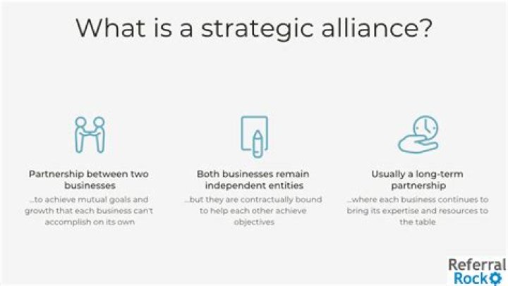 What is a strategic alliance company?