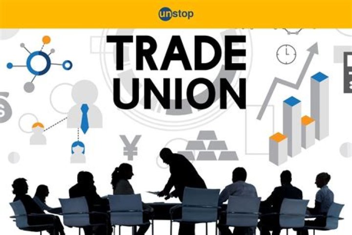 What is a trade union simple definition?
